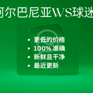 阿尔巴尼亚世界杯球迷