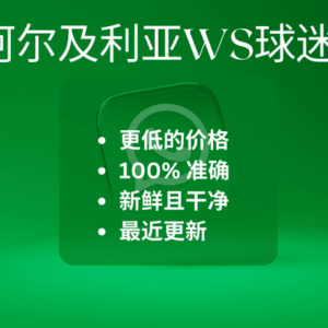 阿尔及利亚 WS 风扇