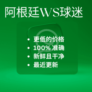 阿根廷WS球迷
