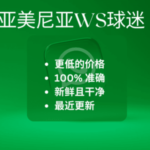 亚美尼亚WS球迷