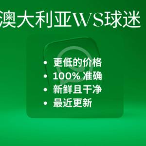 澳大利亚WS球迷