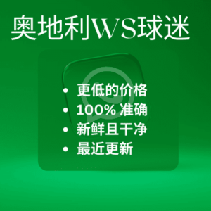 奥地利WS球迷