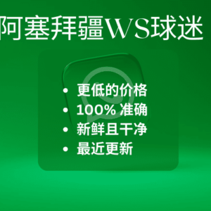 阿塞拜疆WS球迷