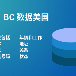 BC 数据美国
