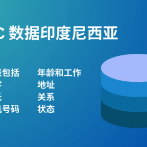 BC 数据印度尼西亚