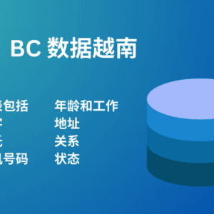 BC 数据越南