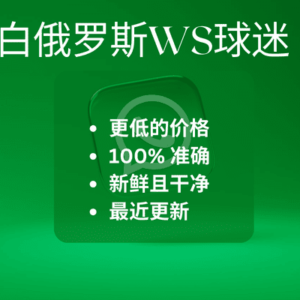白俄罗斯WS球迷