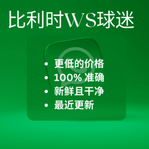比利时WS球迷