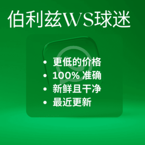 伯利兹WS球迷