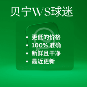 贝宁WS球迷