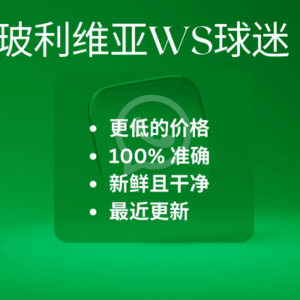 玻利维亚WS球迷