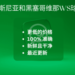 波斯尼亚和黑塞哥维那WS球迷