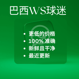 巴西WS球迷