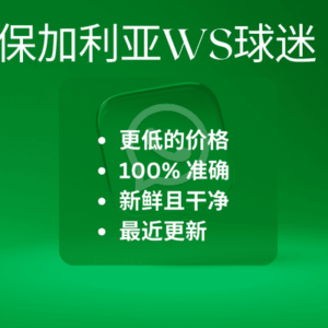 保加利亚WS球迷