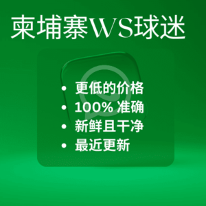 柬埔寨WS球迷