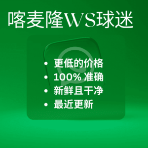 喀麦隆WS球迷