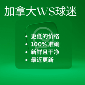 加拿大WS球迷