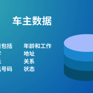 车主数据