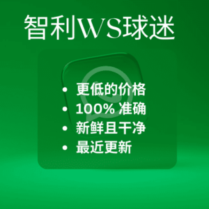 智利WS球迷