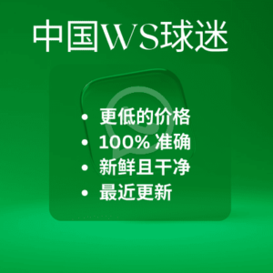 中国WS球迷