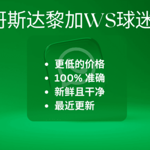 哥斯达黎加WS球迷