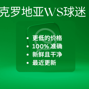 克罗地亚WS球迷