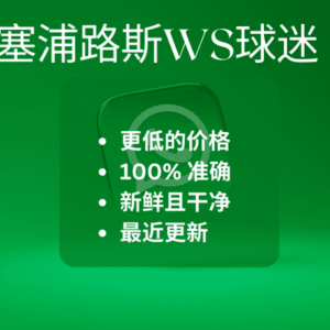 塞浦路斯WS球迷