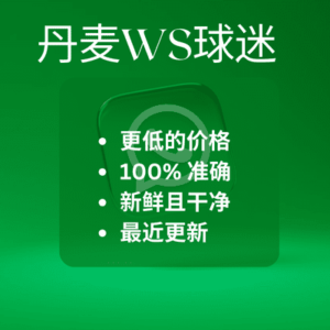 丹麦WS球迷