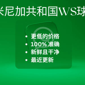 多米尼加共和国WS球迷