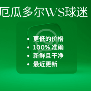 厄瓜多尔WS球迷