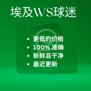 埃及WS球迷
