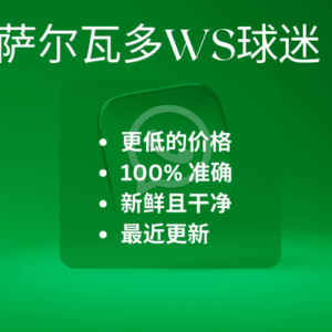 萨尔瓦多WS球迷