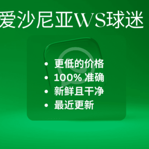 爱沙尼亚WS球迷