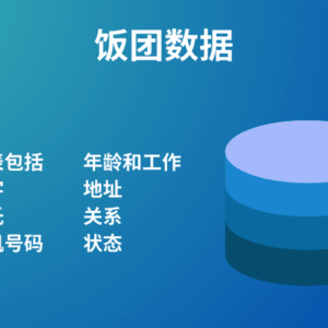 饭团数据