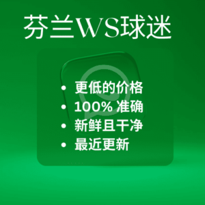 芬兰WS球迷