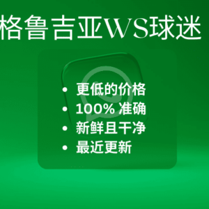 格鲁吉亚WS球迷