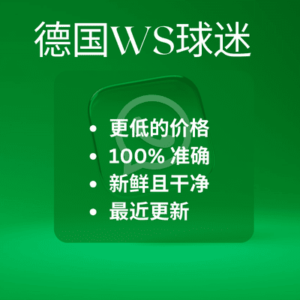 德国WS球迷