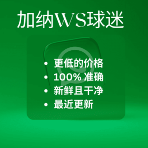加纳WS球迷