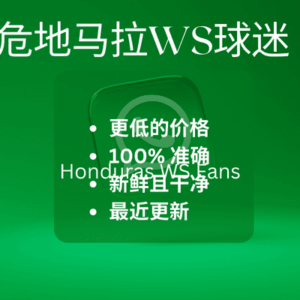 危地马拉WS球迷