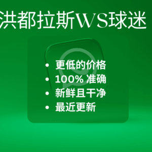 洪都拉斯WS球迷