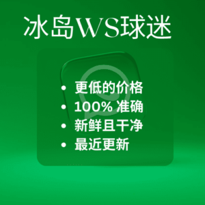 冰岛WS球迷