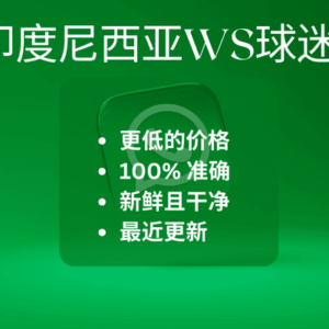 印度尼西亚WS球迷