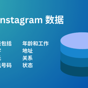 Instagram 数据