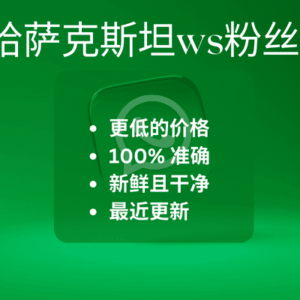 哈萨克斯坦ws粉丝