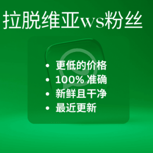 拉脱维亚ws粉丝
