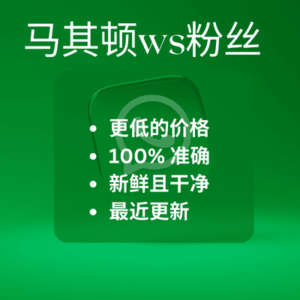 北马其顿 WS 风扇