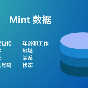 Mint 数据