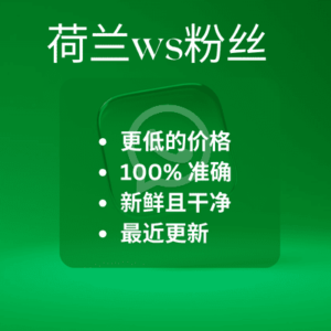 荷兰ws粉丝​