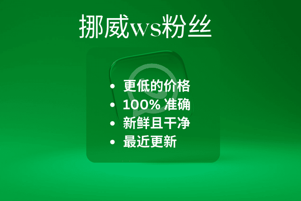 挪威ws粉丝​