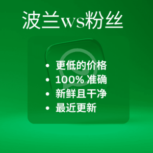 波兰ws粉丝​